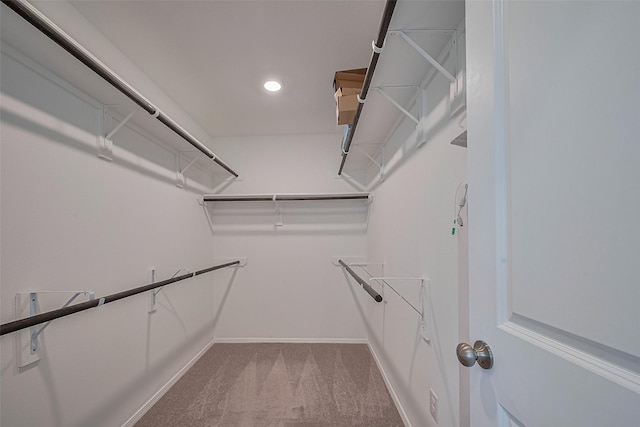 spacious closet with light carpet