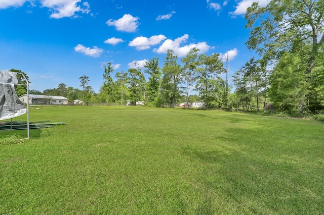 39 County Road 3374, Cleveland, TX 77327 - photo 10