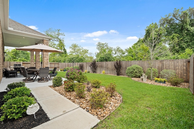 view of yard featuring a fenced backyard and a patio