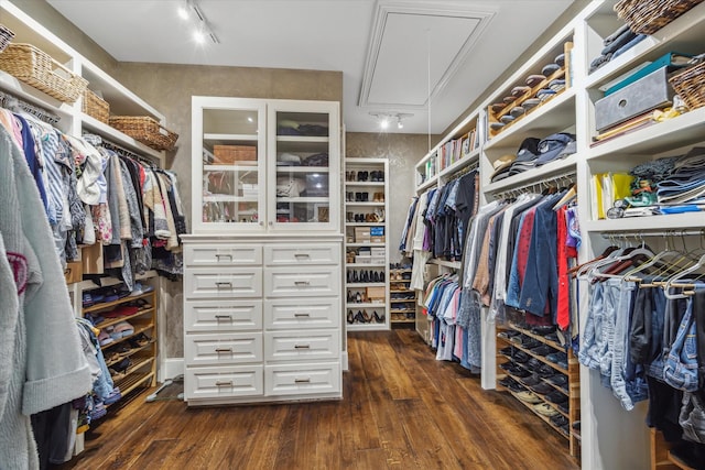spacious closet featuring attic access and dark wood-style floors