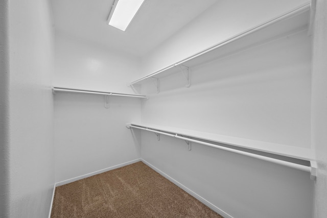 walk in closet with carpet flooring