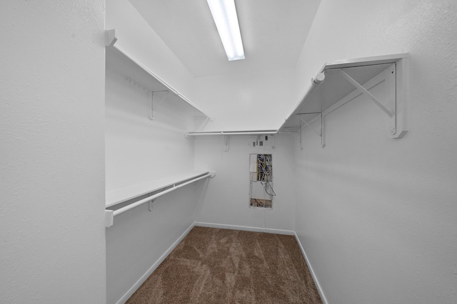 spacious closet with carpet floors