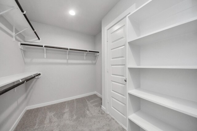 walk in closet featuring carpet floors