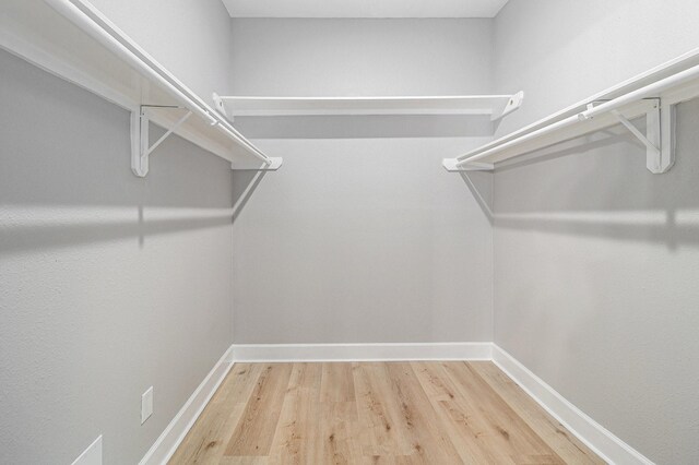 walk in closet featuring wood finished floors