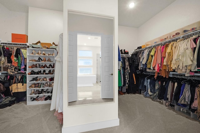 walk in closet with carpet flooring