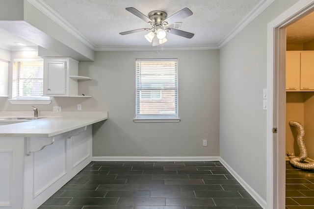 kitchen with open shelves, ceiling fan, a wealth of natural light, and a sink
