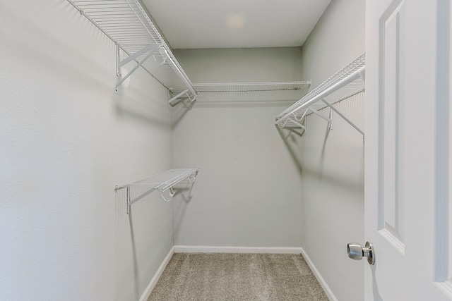 spacious closet with carpet