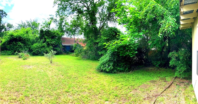 504 Gay Hill St, Brenham, TX 77833 - view of yard