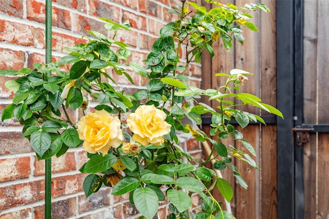 29 Clara Barton Ln, Galveston, TX 77551 - details featuring brick siding