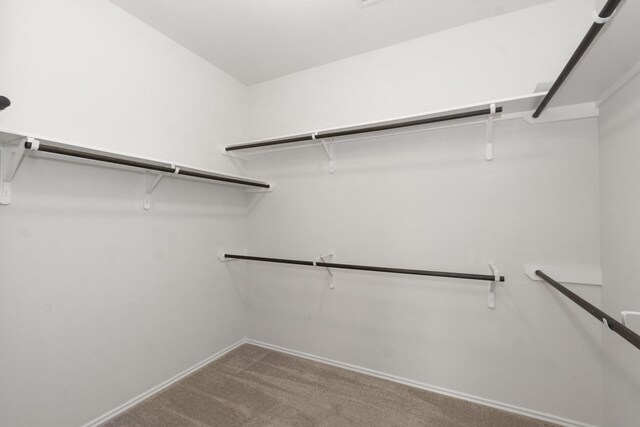 walk in closet featuring carpet