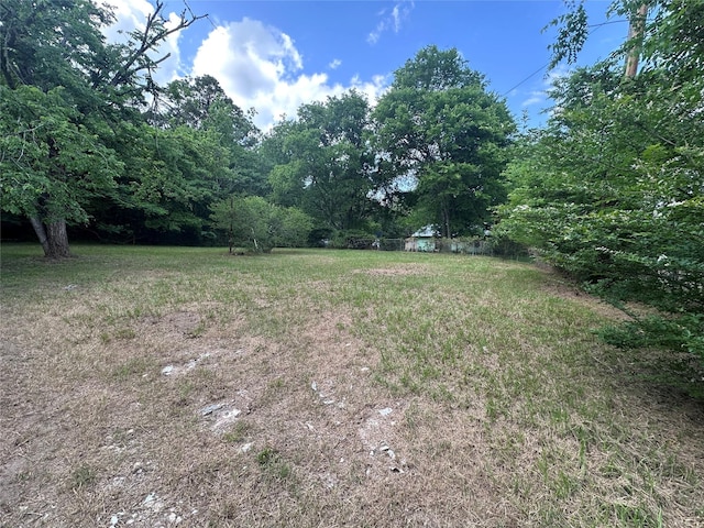 217 Box Factory Rd, Diboll, TX 75941 - view of yard