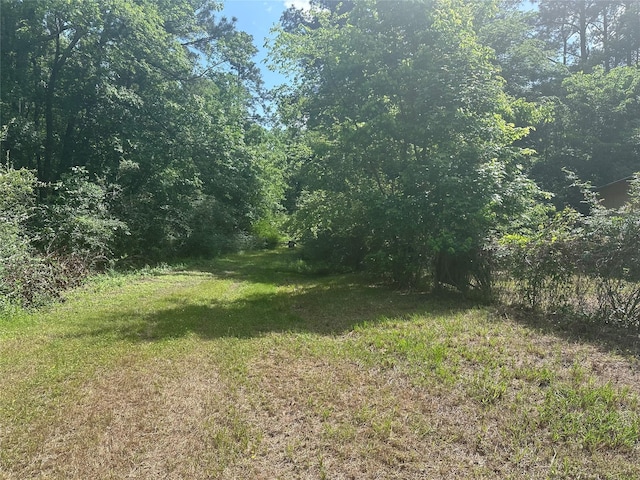 217 Box Factory Rd, Diboll, TX 75941 - view of yard featuring a forest view