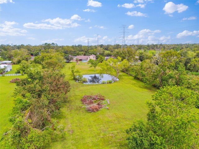 2082 Fm 521st Rd, Brazoria, TX 77422 - photo 6