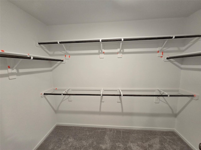 6022 Standpiper Loop, Baytown, TX 77521 - walk in closet featuring carpet