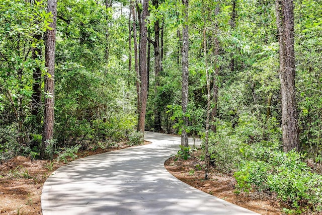 6022 Standpiper Loop, Baytown, TX 77521 - view of property's community with a view of trees and concrete driveway