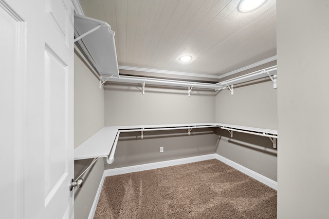 1111 Robert St, Pearland, TX 77581 - spacious closet featuring carpet