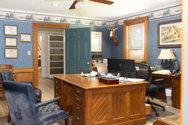 office with wallpapered walls, a wainscoted wall, and ceiling fan