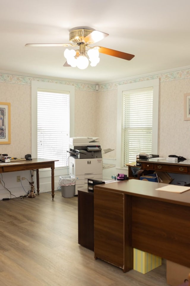 home office featuring wallpapered walls, a ceiling fan, and a wealth of natural light