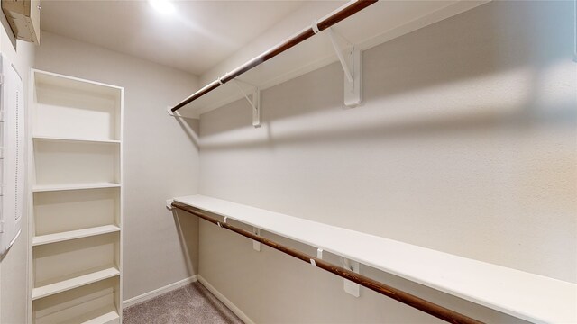 spacious closet with light colored carpet