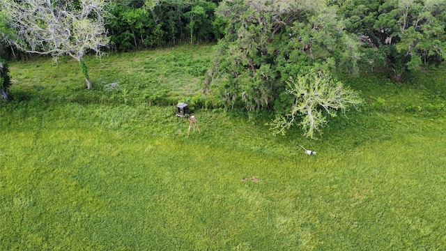 6707 Fm-1728, Boling, TX 77420 - photo 6