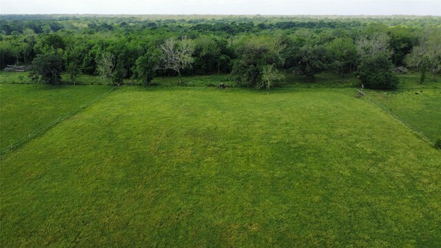 6707 Fm-1728, Boling, TX 77420 - photo 8