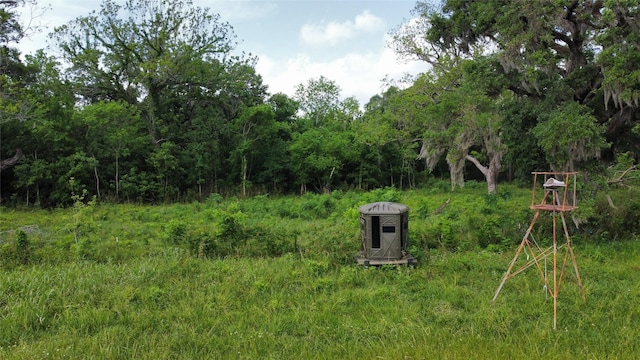 6707 Fm-1728, Boling, TX 77420 - photo 11