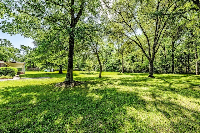 view of yard