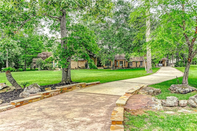 33302 Alton Wright Dr, Magnolia, TX 77355 - view of front facade featuring a front yard