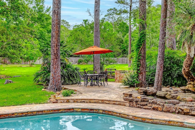 33302 Alton Wright Dr, Magnolia, TX 77355 - view of swimming pool featuring a patio