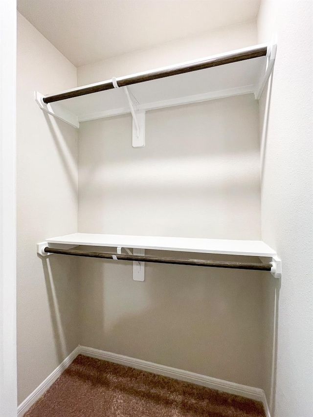 spacious closet featuring dark colored carpet