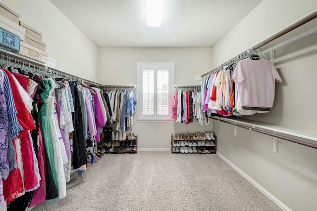 walk in closet featuring carpet floors