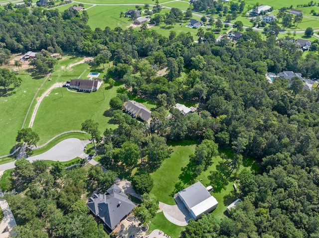 drone / aerial view