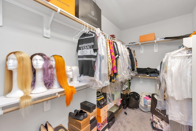 view of walk in closet