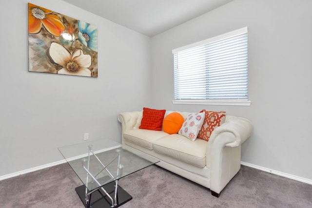 living room with carpet floors and baseboards