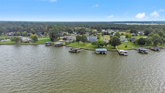 466 Buffalo Ct, Livingston, TX 77351 - birds eye view of property with a water view and a residential view
