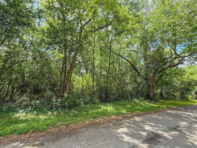 TBD W Wheat St, Woodville, TX 75979