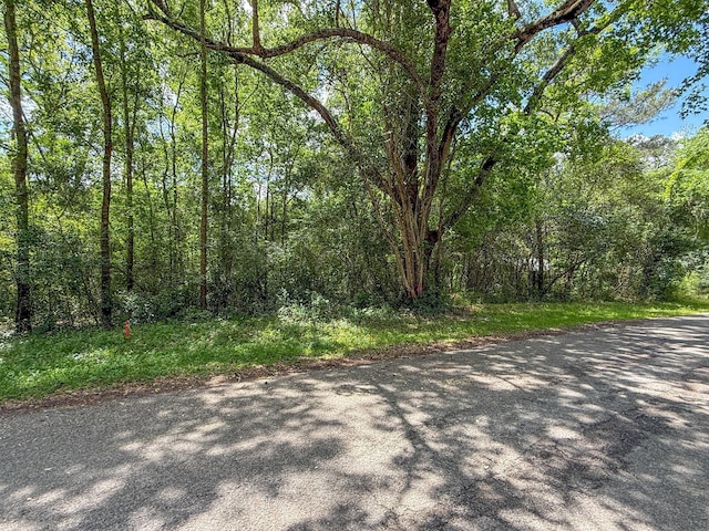 TBD W Wheat St, Woodville, TX 75979