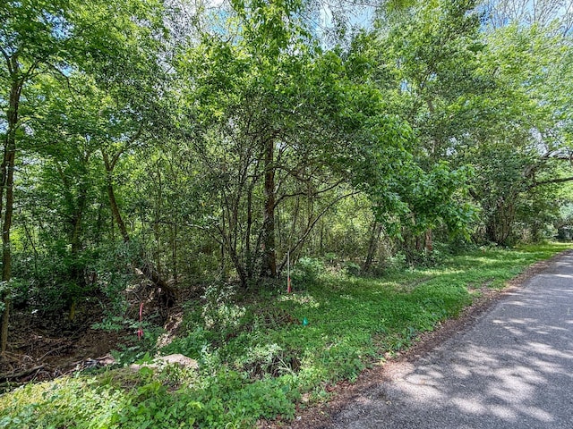 TBD W Wheat St, Woodville, TX 75979