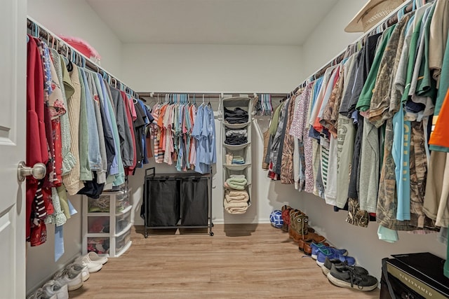 walk in closet featuring wood finished floors