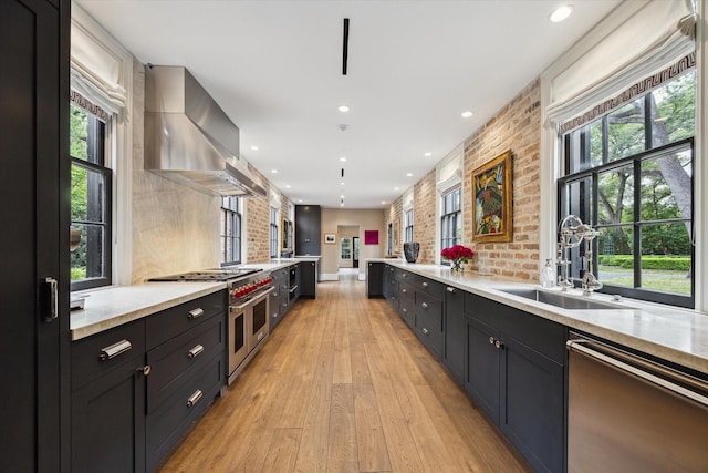 kitchen featuring a sink, stainless steel appliances, light wood finished floors, a wealth of natural light, and island exhaust hood