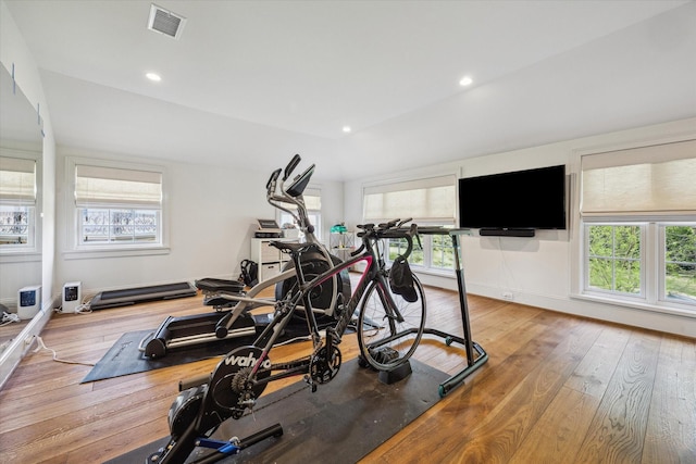 workout room featuring a wealth of natural light and light wood-style floors