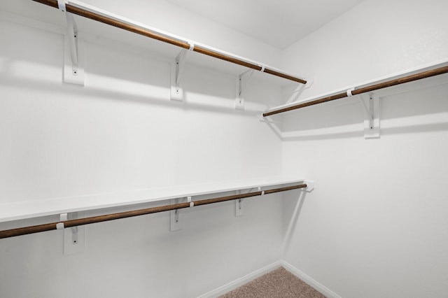 310 N Orange St, Sweeny, TX 77480 - walk in closet with carpet floors