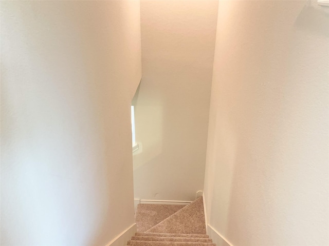 310 N Orange St, Sweeny, TX 77480 - stairs featuring carpet flooring and baseboards