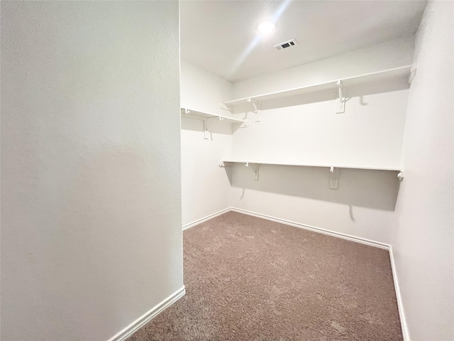 306 N Orange St, Sweeny, TX 77480 - walk in closet with carpet flooring