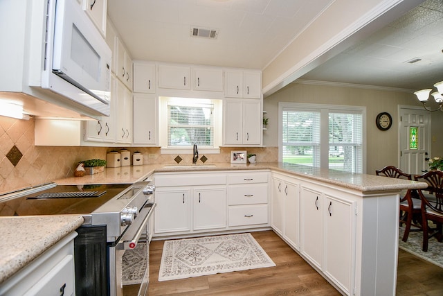 3339 Terry St, Needville, TX 77461 - kitchen with electric range, plenty of natural light, wood finished floors, a peninsula, and crown molding