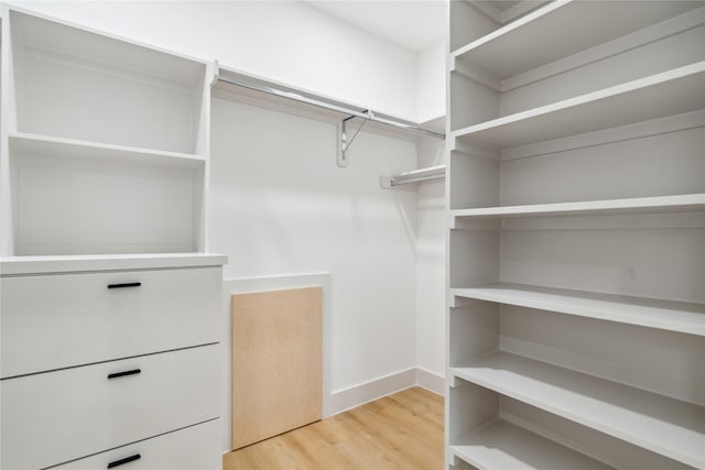 spacious closet featuring light wood-style flooring