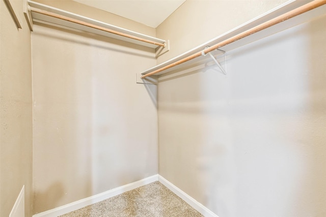 walk in closet featuring carpet floors