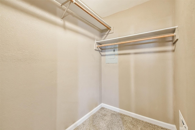 walk in closet with carpet