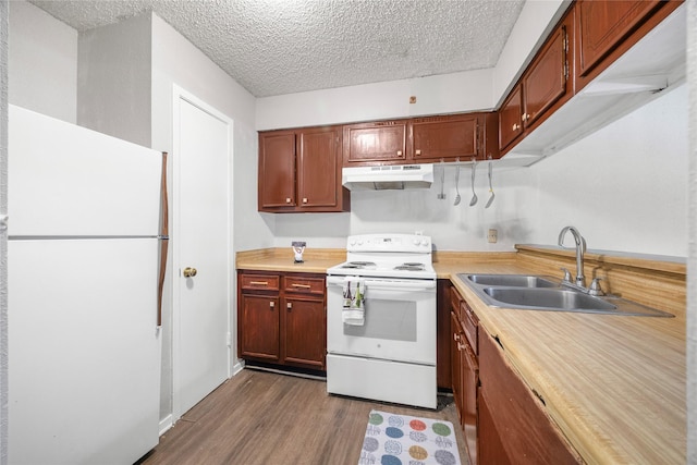 6231 Westward St Unit 20, Houston, TX 77081 - kitchen featuring a sink, light countertops, dark wood-style floors, under cabinet range hood, and white appliances