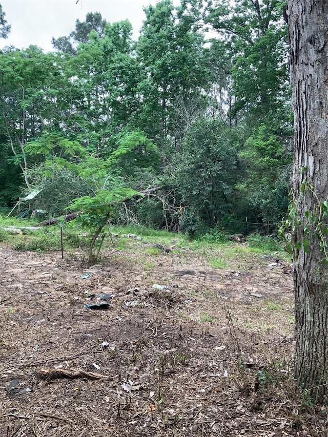 view of local wilderness